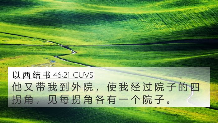 以 西 结 书 46:21 CUVS Bible Verse Image