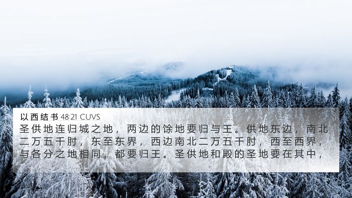 以 西 结 书 48:21 CUVS Bible Verse Image