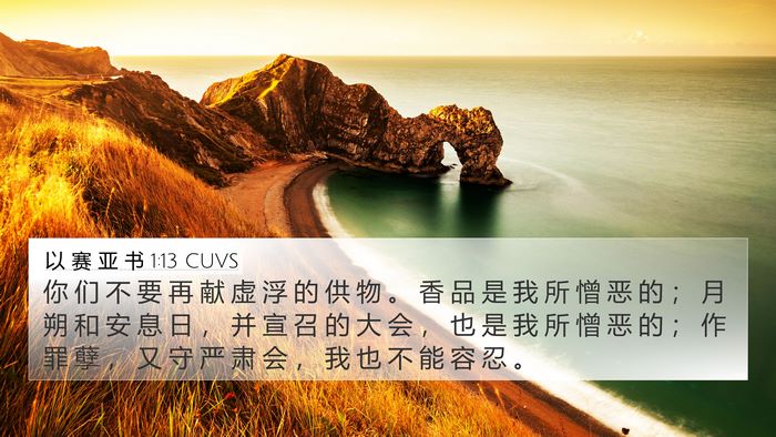 以 赛 亚 书 1:13 CUVS Bible Verse Image