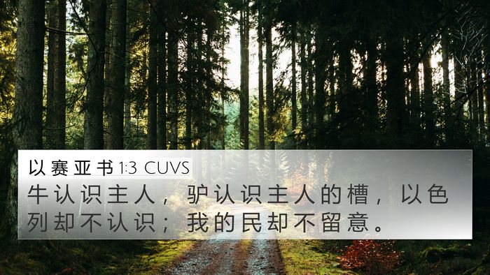 以 赛 亚 书 1:3 CUVS Bible Verse Image