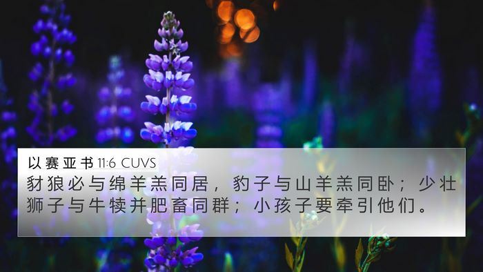 以 赛 亚 书 11:6 CUVS Bible Verse Image