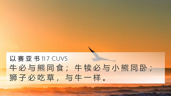 以 赛 亚 书 11:7 CUVS 4K Wallpaper - 牛 必 与 熊 同 食 ； 牛 犊 必 与 小 - 4K Wallpaper Bible Verse