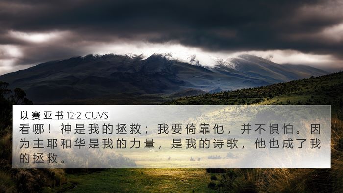 以 赛 亚 书 12:2 CUVS Bible Verse Image