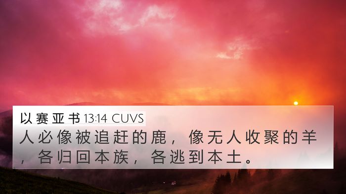以 赛 亚 书 13:14 CUVS Bible Verse Image