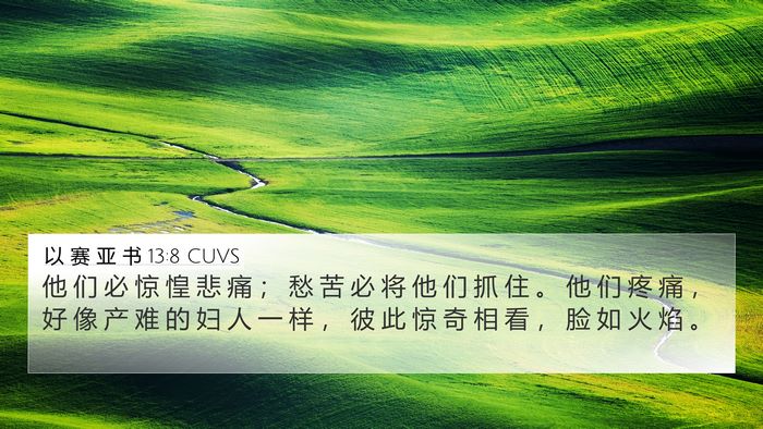 以 赛 亚 书 13:8 CUVS Bible Verse Image