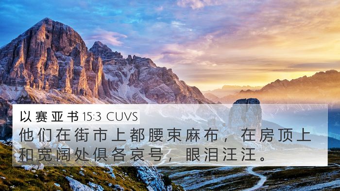 以 赛 亚 书 15:3 CUVS Bible Verse Image