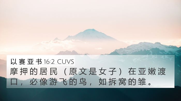 以 赛 亚 书 16:2 CUVS Bible Verse Image