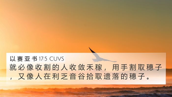 以 赛 亚 书 17:5 CUVS Bible Verse Image
