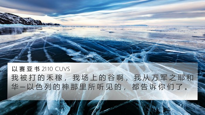 以 赛 亚 书 21:10 CUVS Bible Verse Image