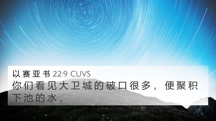 以 赛 亚 书 22:9 CUVS Bible Verse Image