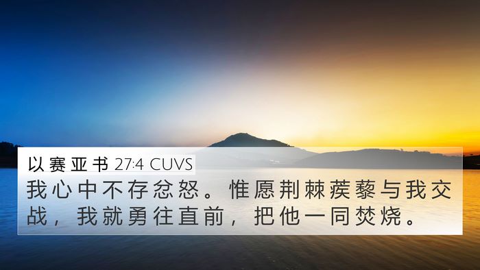 以 赛 亚 书 27:4 CUVS Bible Verse Image