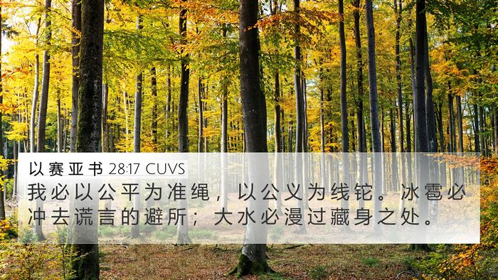 以 赛 亚 书 28:17 CUVS Bible Verse Image