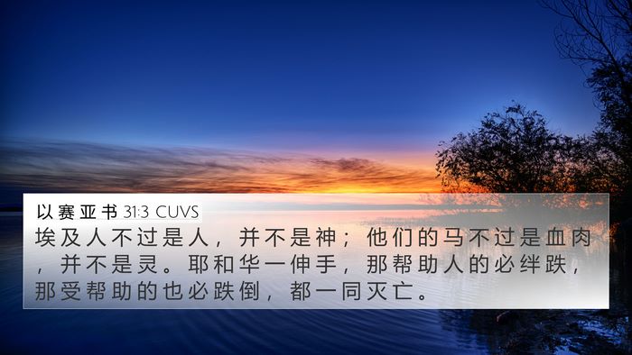 以 赛 亚 书 31:3 CUVS Bible Verse Image