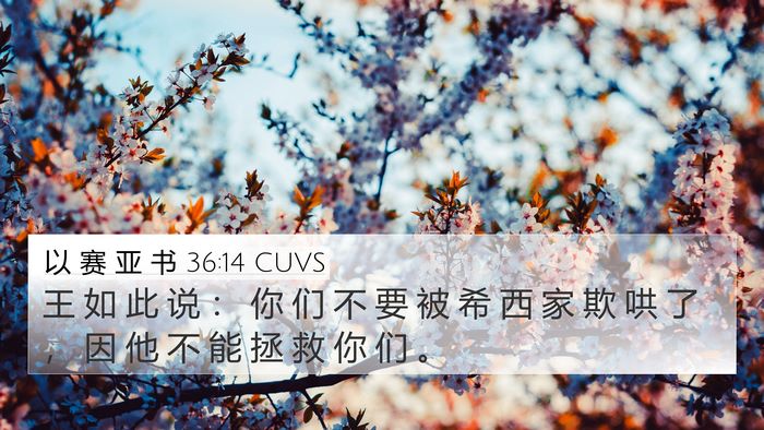 以 赛 亚 书 36:14 CUVS 4K Wallpaper - 王 如 此 说 ： 你 们 不 要 被 希 西 - 4K Wallpaper Bible Verse
