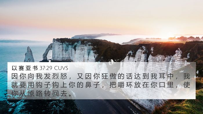 以 赛 亚 书 37:29 CUVS Bible Verse Image
