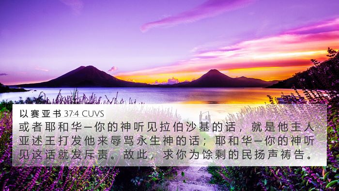 以 赛 亚 书 37:4 CUVS Bible Verse Image