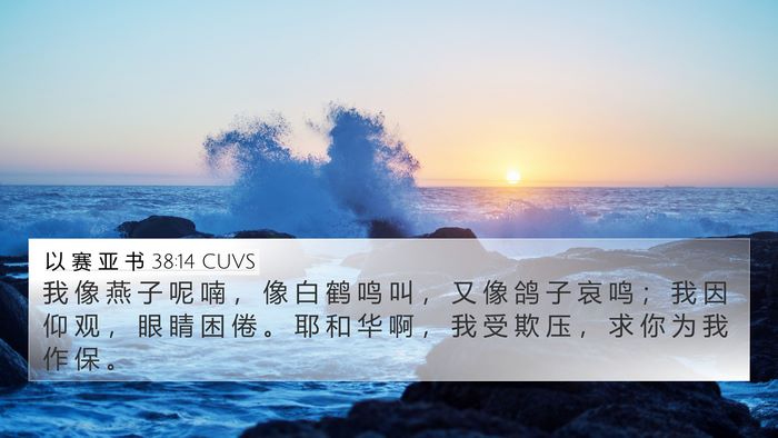 以 赛 亚 书 38:14 CUVS Bible Verse Image