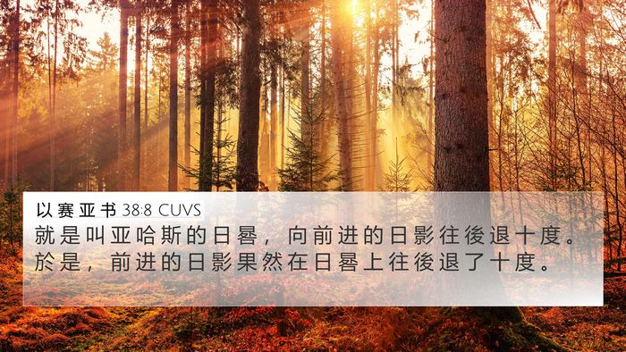 以 赛 亚 书 38:8 CUVS Bible Verse Image