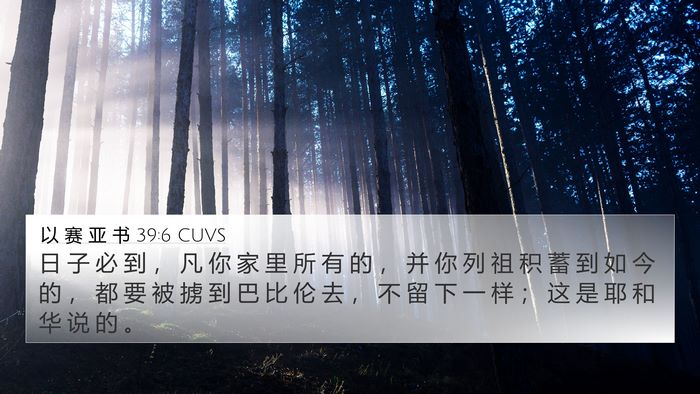 以 赛 亚 书 39:6 CUVS Bible Verse Image