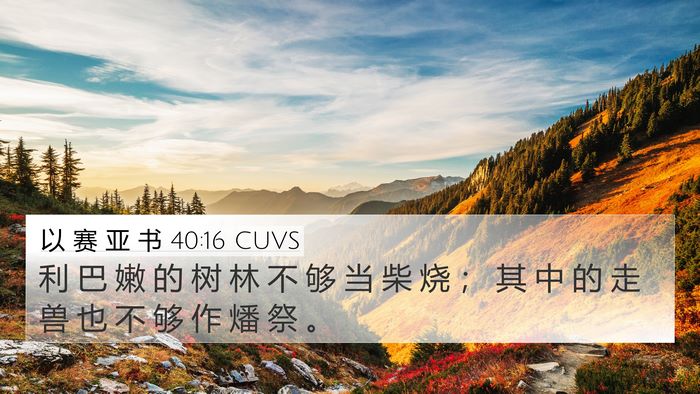 以 赛 亚 书 40:16 CUVS Bible Verse Image