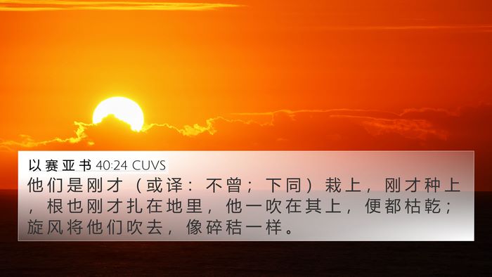 以 赛 亚 书 40:24 CUVS Bible Verse Image