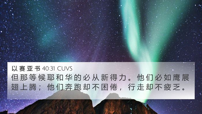 以 赛 亚 书 40:31 CUVS Bible Verse Image