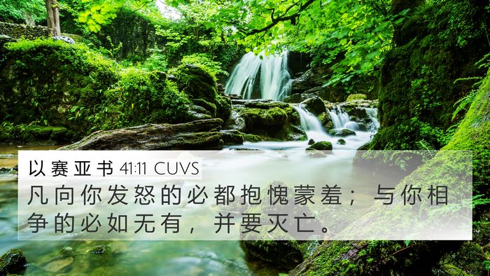 以 赛 亚 书 41:11 CUVS Bible Verse Image