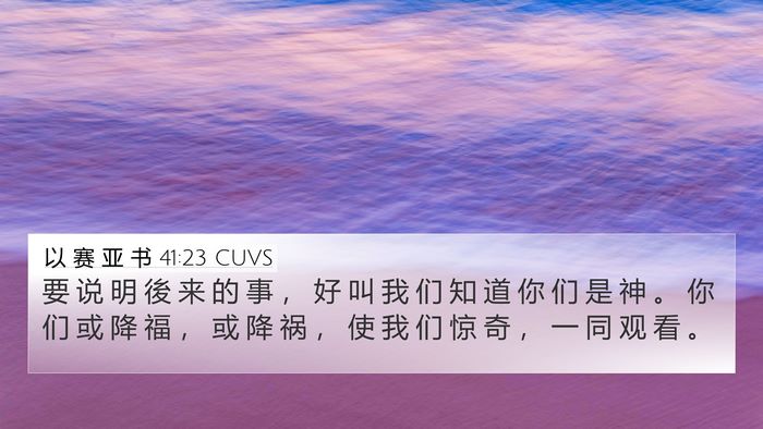 以 赛 亚 书 41:23 CUVS Bible Verse Image