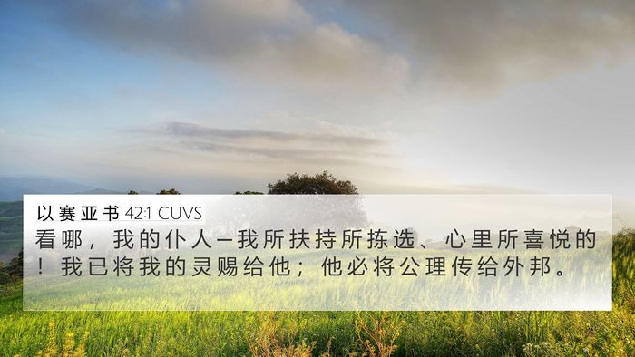 以 赛 亚 书 42:1 CUVS Bible Verse Image