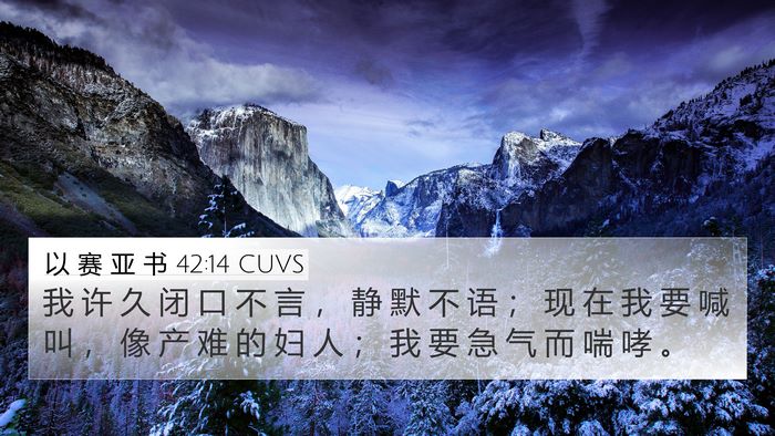 以 赛 亚 书 42:14 CUVS Bible Verse Image
