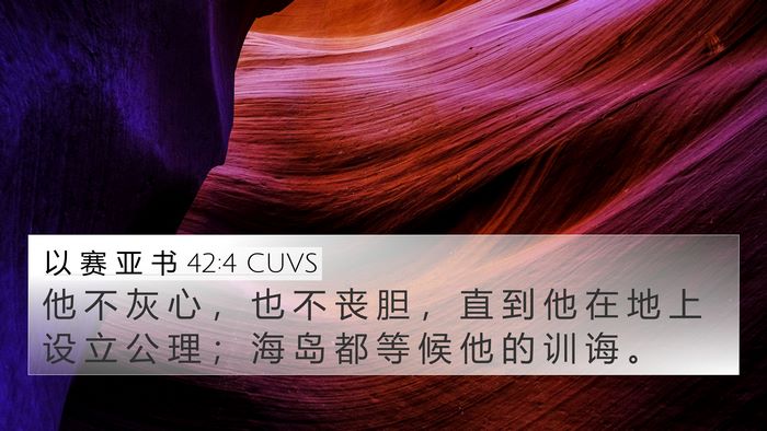 以 赛 亚 书 42:4 CUVS Bible Verse Image