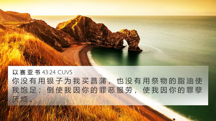 以 赛 亚 书 43:24 CUVS Bible Verse Image
