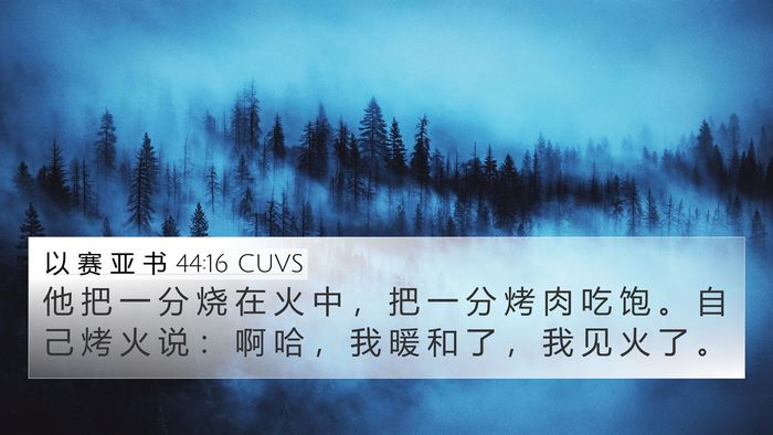 以 赛 亚 书 44:16 CUVS Bible Verse Image