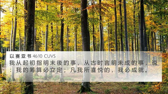 以 赛 亚 书 46:10 CUVS Bible Verse Image