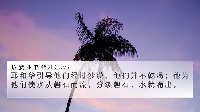 以 赛 亚 书 48:21 CUVS Bible Verse Image