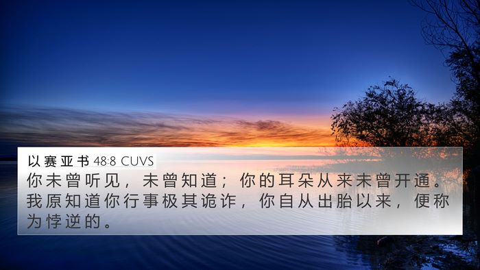以 赛 亚 书 48:8 CUVS Bible Verse Image