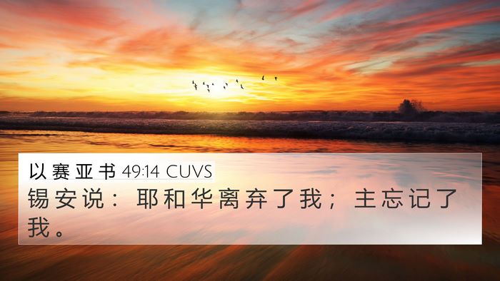 以 赛 亚 书 49:14 CUVS Bible Verse Image