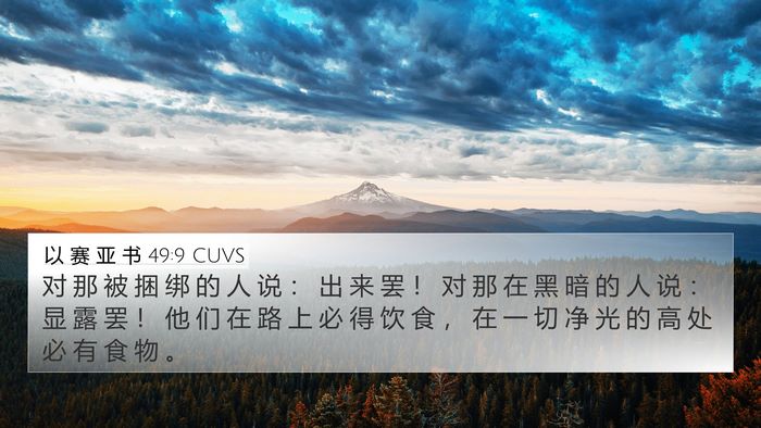 以 赛 亚 书 49:9 CUVS Bible Verse Image