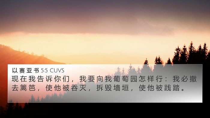 以 赛 亚 书 5:5 CUVS Bible Verse Image