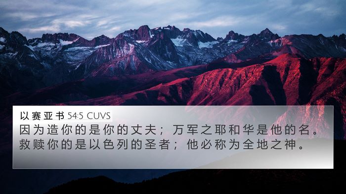 以 赛 亚 书 54:5 CUVS Bible Verse Image