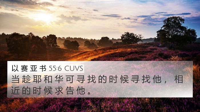 以 赛 亚 书 55:6 CUVS Bible Verse Image