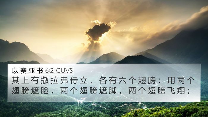 以 赛 亚 书 6:2 CUVS Bible Verse Image