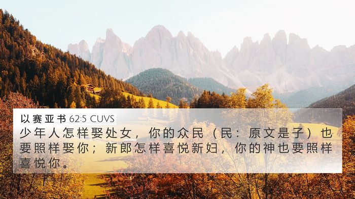 以 赛 亚 书 62:5 CUVS Bible Verse Image