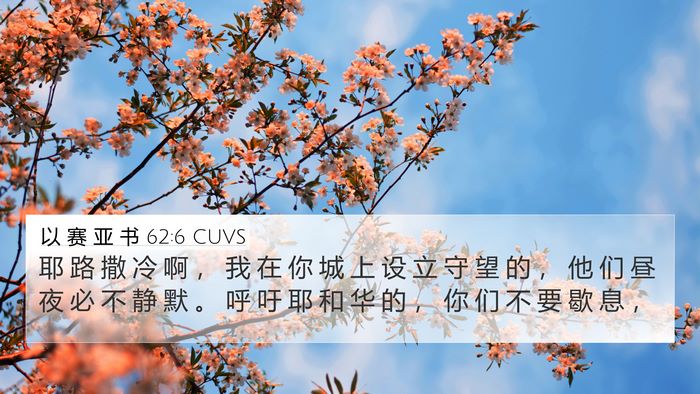 以 赛 亚 书 62:6 CUVS Bible Verse Image
