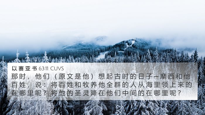 以 赛 亚 书 63:11 CUVS Bible Verse Image