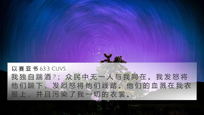 以 赛 亚 书 63:3 CUVS Bible Verse Image
