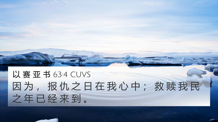 以 赛 亚 书 63:4 CUVS Bible Verse Image