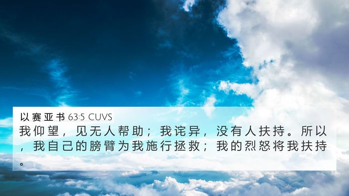 以 赛 亚 书 63:5 CUVS Bible Verse Image