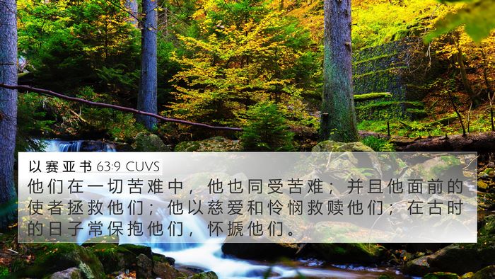 以 赛 亚 书 63:9 CUVS Bible Verse Image