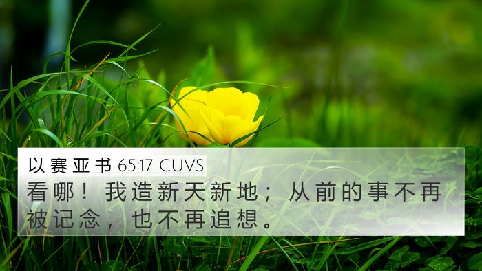 以 赛 亚 书 65:17 CUVS Bible Verse Image